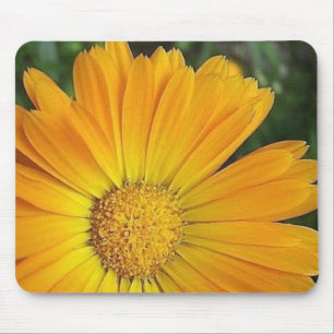 Yellow Daisy Mouse Pad