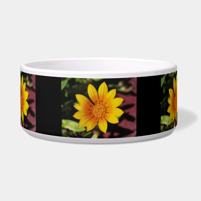 Yellow Daisy Pet Bowl (Front)