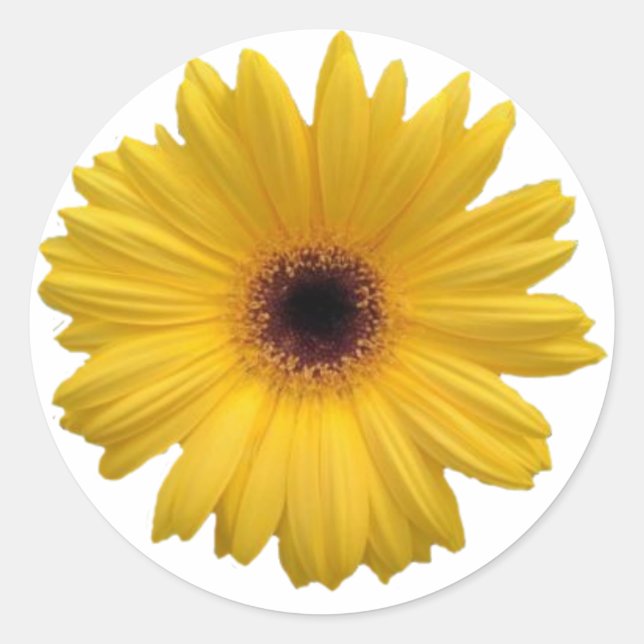 Yellow Daisy Round Stickers (Front)