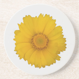 Yellow Daisy Sandstone Coaster