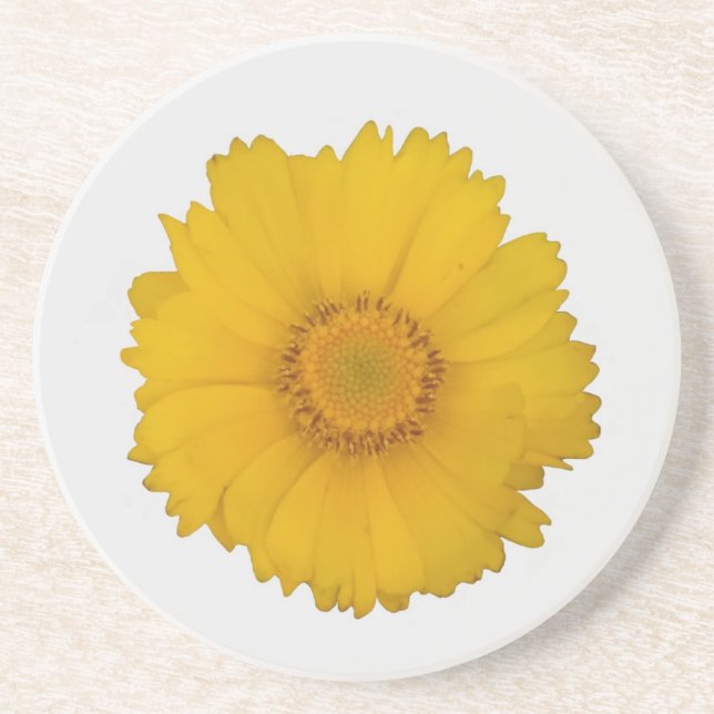 Yellow Daisy Sandstone Coaster (Front)