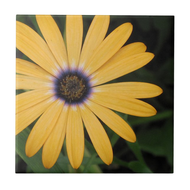 Yellow Daisy Tile (Front)