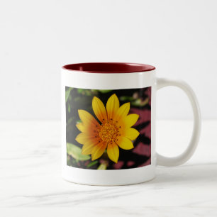 Yellow Daisy Two-Tone Coffee Mug