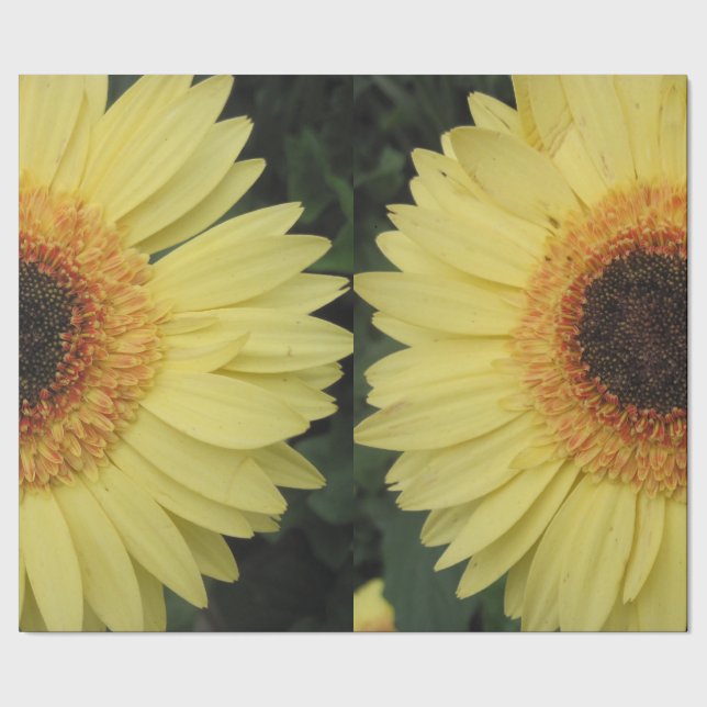 Yellow Daisy Wrapping Paper (Seam)