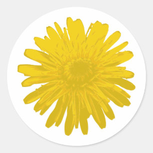 Yellow Dandelion Minimalist – Flat Color Art Gift Classic Round Sticker