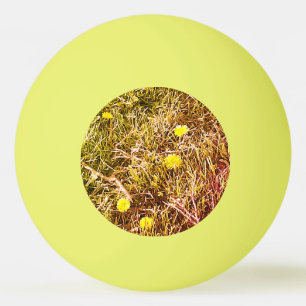 Yellow Dandelions  Dart Board Ping Pong Ball