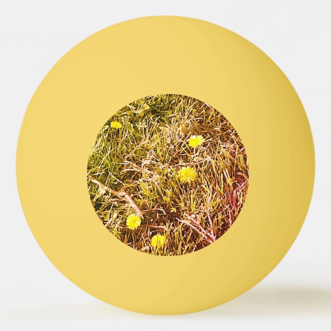 Yellow Dandelions  Dart Board Ping Pong Ball (Front)