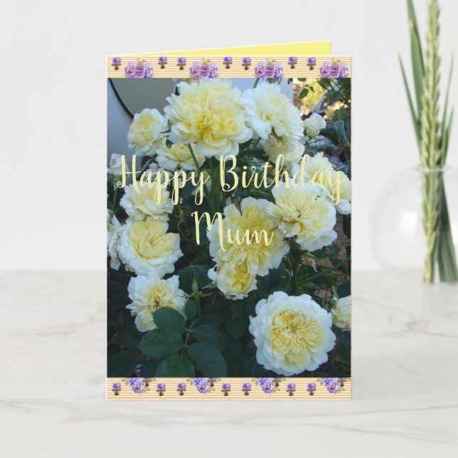Yellow David Austin Roses Rose Garden Birthday Car Card (Front)