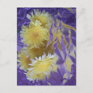 Yellow Desert Wild Flowers Postcard