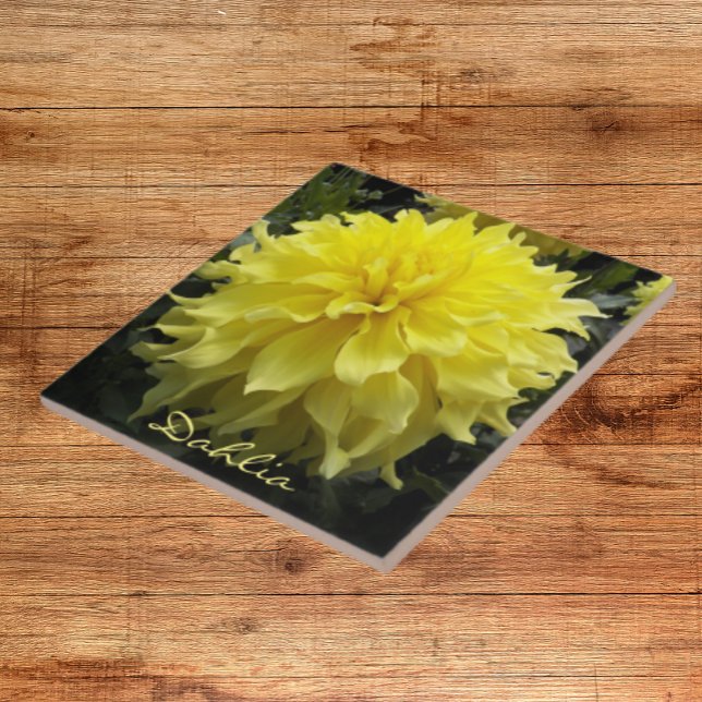 Yellow Dinner Plate Dahlia Floral Tile (In Situ)