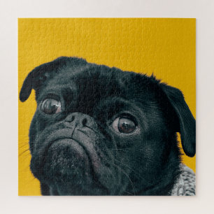 yellow dog jigsaw puzzle