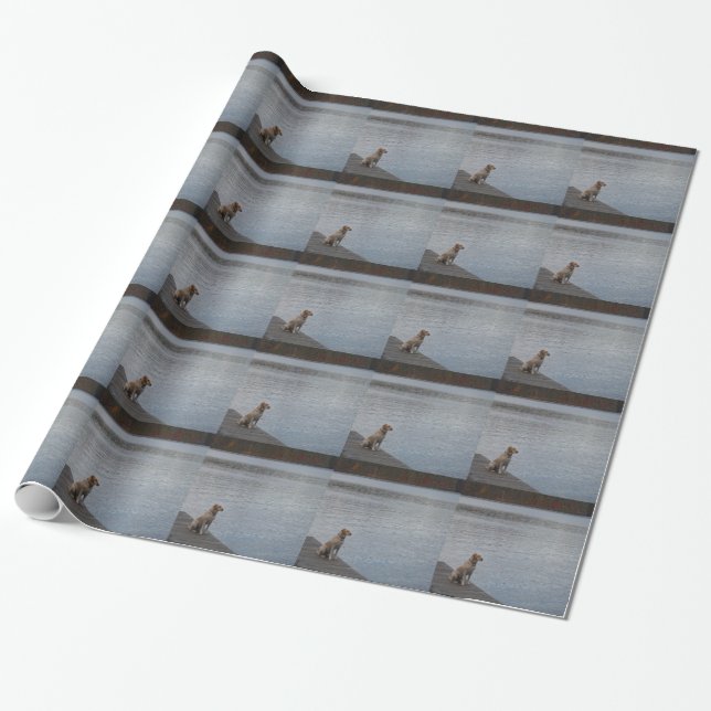 Yellow dog on dock wrapping paper (Unrolled)