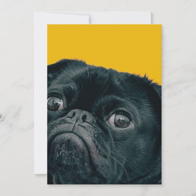 yellow dog thank you card (Front)