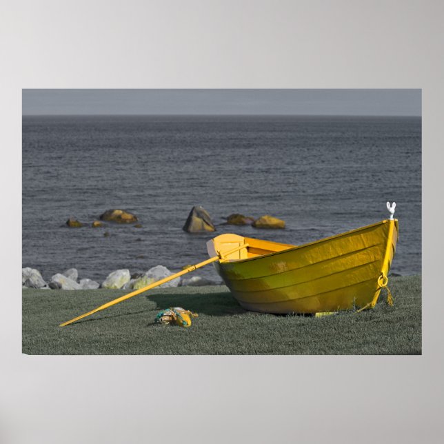 Yellow Dory Print (Front)