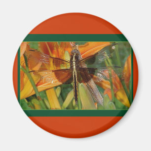 Yellow Dragonfly Magnet