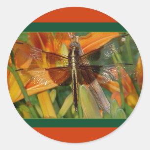 Yellow Dragonfly Stickers
