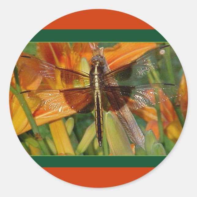 Yellow Dragonfly Stickers (Front)