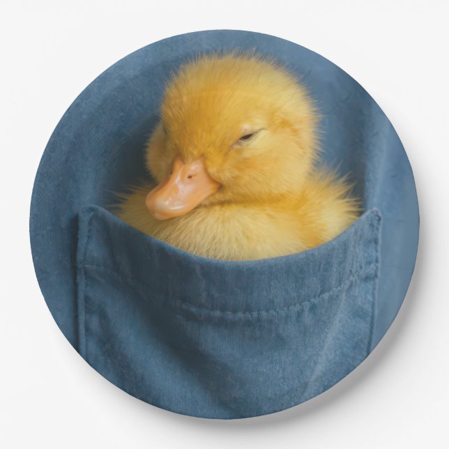 Yellow Duckling In a T-shirt Pocket Paper Plate (Front)