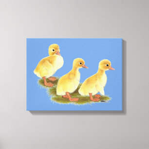 Yellow Ducklings Canvas Print