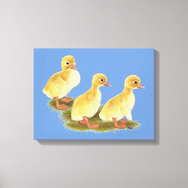 Yellow Ducklings Canvas Print (Front)
