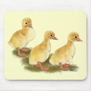Yellow Ducklings Mouse Mat