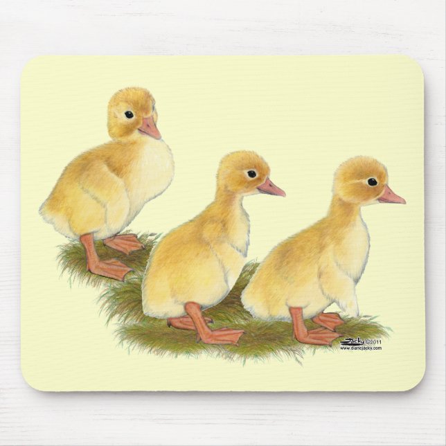 Yellow Ducklings Mouse Mat (Front)