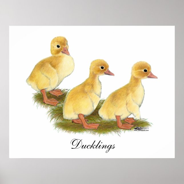 Yellow Ducklings Poster (Front)
