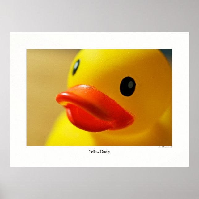 Yellow Ducky Poster (Front)