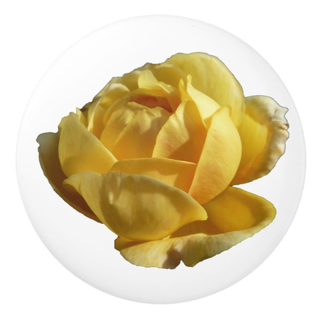 Yellow English Rose Ceramic Knob (Front)
