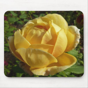 Yellow English Rose Mouse Mat