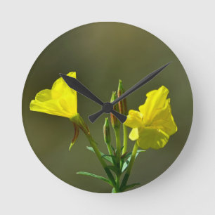 Yellow evening primrose wildflower round clock