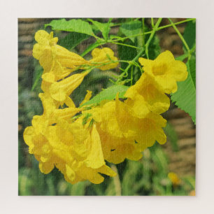 yellow,exotic, floral, blossom, nature, background jigsaw puzzle