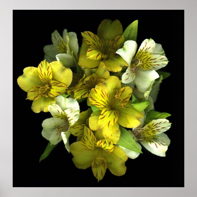 Yellow Explosion Art Print (Front)