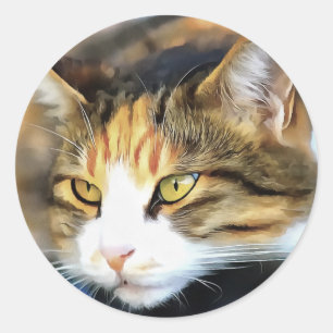 Yellow Eyed Calico Cat Realistic Pet Portrait Classic Round Sticker
