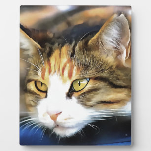 Yellow Eyed Calico Cat Realistic Pet Portrait Plaque