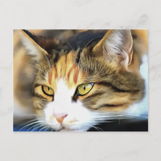 Yellow Eyed Calico Cat Realistic Pet Portrait Postcard