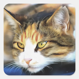 Yellow Eyed Calico Cat Realistic Pet Portrait Square Sticker