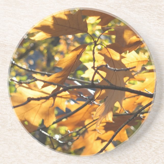 Yellow Fall Coaster (Front)