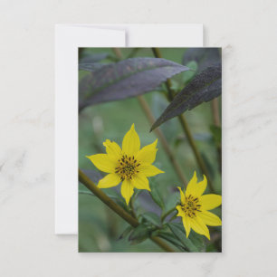Yellow Fall Flower Card