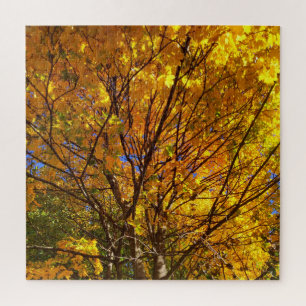 Yellow Fall Foliage Jigsaw Puzzle