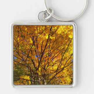 Yellow Fall Foliage Key Ring