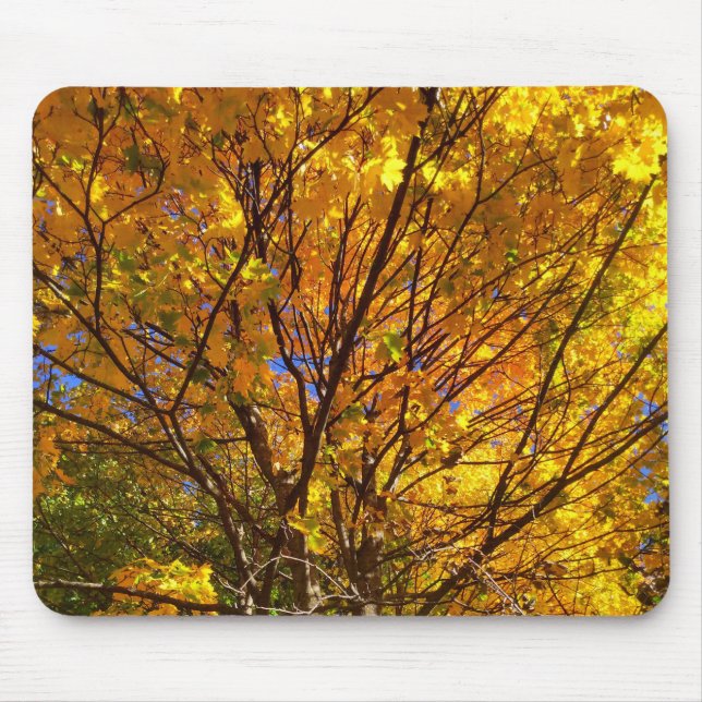 Yellow Fall Foliage Mouse Mat (Front)