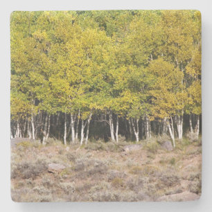 Yellow Fall Leaves in Colorado, Stone Coaster