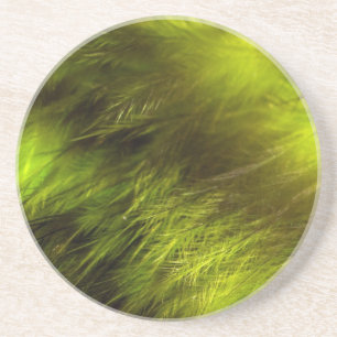 Yellow Feathers Coaster