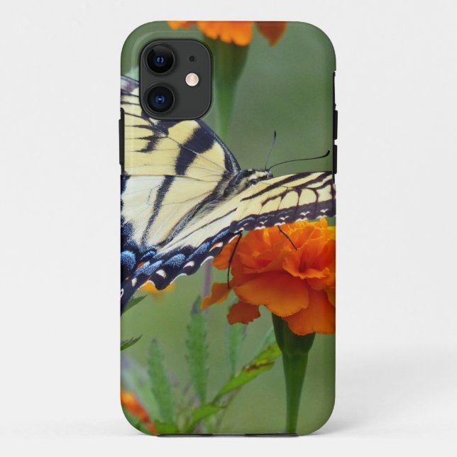 Yellow female Eastern Tiger Swallowtail Case-Mate iPhone Case (Back)