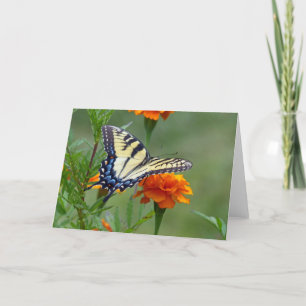Yellow female Eastern Tiger Swallowtail Holiday Card