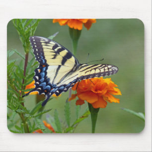 Yellow female Eastern Tiger Swallowtail Mouse Mat