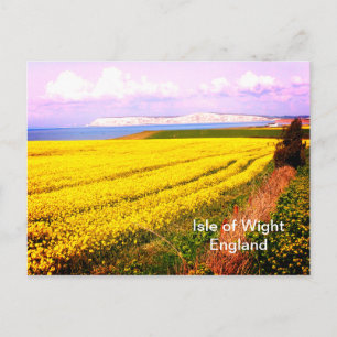 Yellow field and white cliffs of the Isle of Wight Postcard