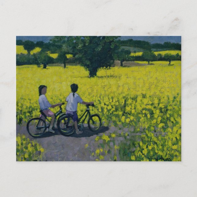 Yellow Field Kedleston Derby Postcard (Front)