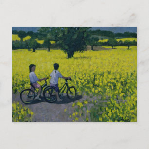 Yellow Field Kedleston Derby Postcard